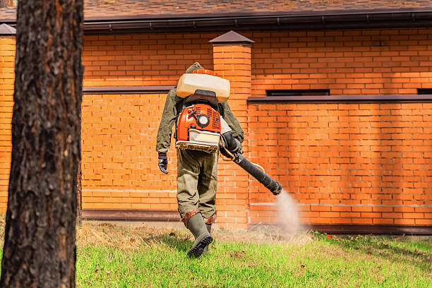 Bed Bug Clearance Verification and Documentation in Old Bethpage